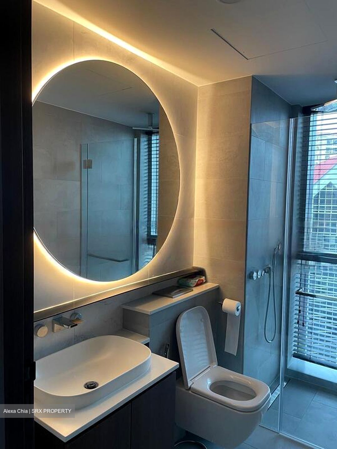The Iveria (D9), Apartment #571844581